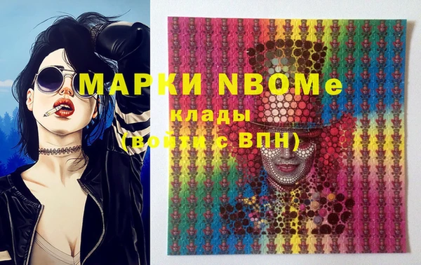 сатива Зеленокумск