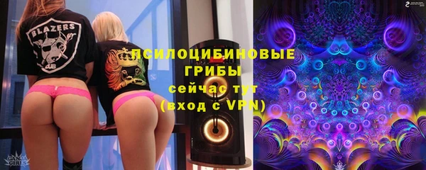 дживик Зеленодольск