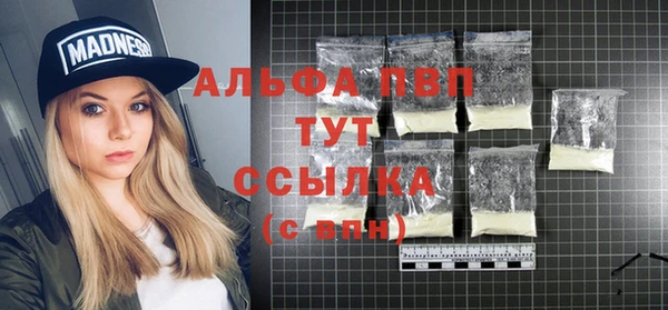 гашик Зерноград