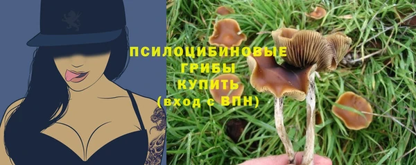 сатива Зеленокумск