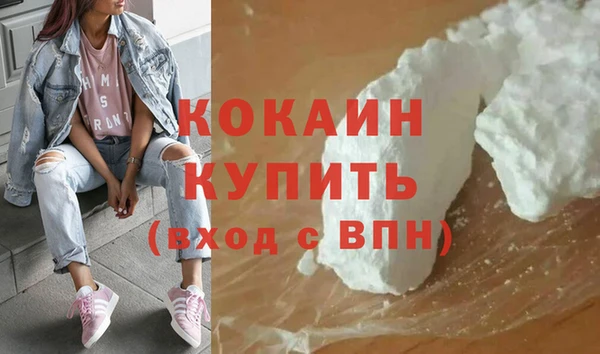 гашик Зерноград